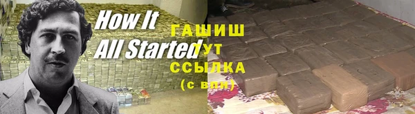 стаф Алзамай