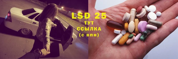 стаф Алзамай