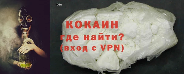 стаф Алзамай