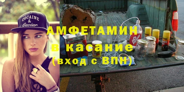 стаф Алзамай