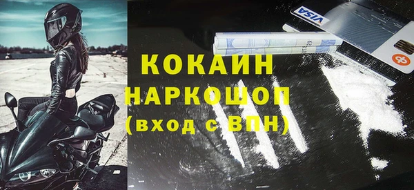 стаф Алзамай