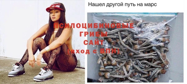 стаф Алзамай