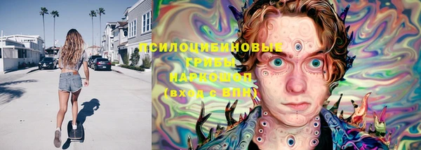 стаф Алзамай