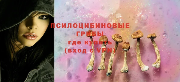 гидра Абдулино