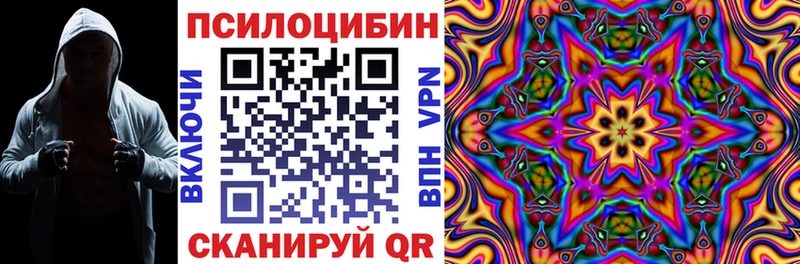 Галлюциногенные грибы Psilocybine cubensis  гидра как войти  Бежецк 