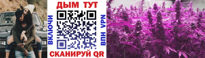 Марихуана VHQ  продажа наркотиков  Бежецк 